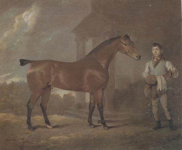 David Dalby The Racehorse 'Woodpecker' in a stall oil painting image
